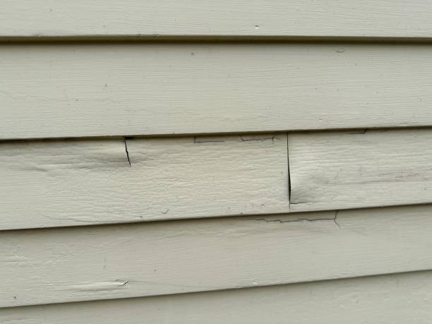 Best Siding Painting and Refinishing  in Nowata, OK